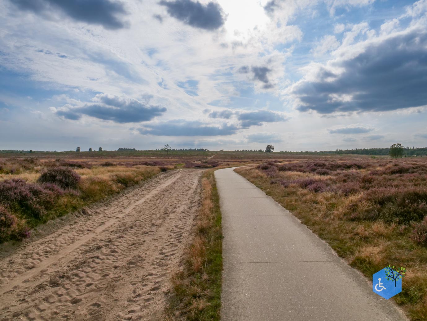 Ede_Rondje_de_Ginkel_30-08-2024-32