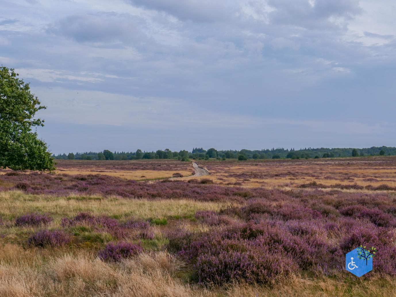 Ede_Rondje_de_Ginkel_30-08-2024-35