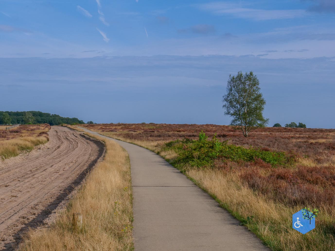 Ede_Rondje_de_Ginkel_30-08-2024-36