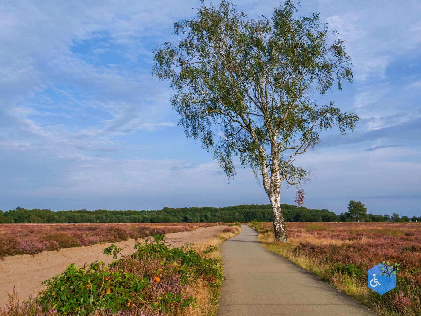 Ede_Rondje_de_Ginkel_30-08-2024-39