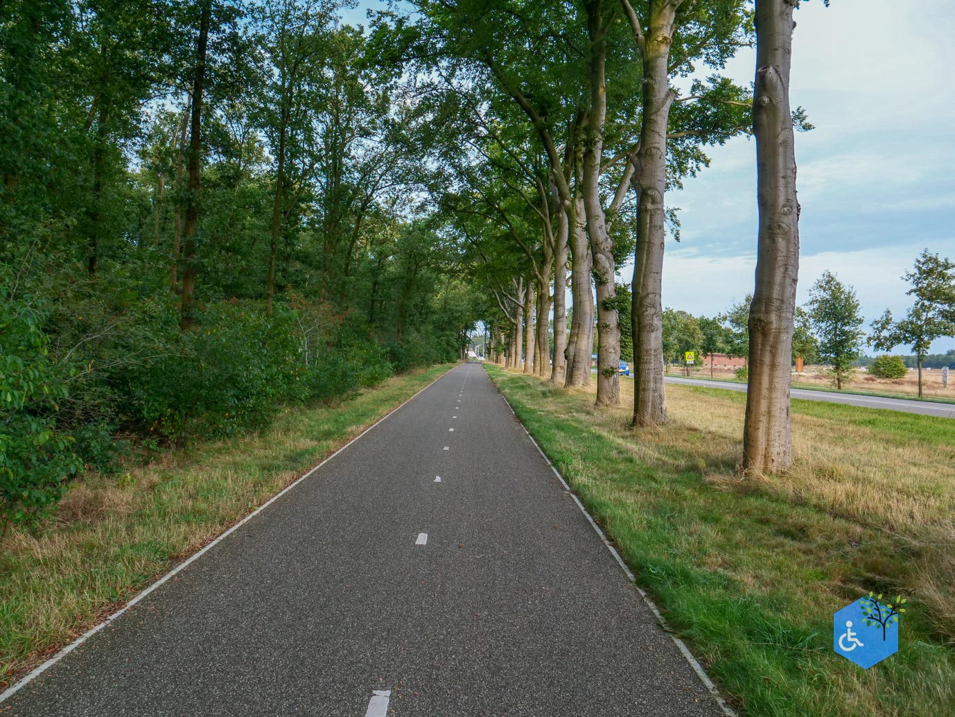 Ede_Rondje_de_Ginkel_30-08-2024-46