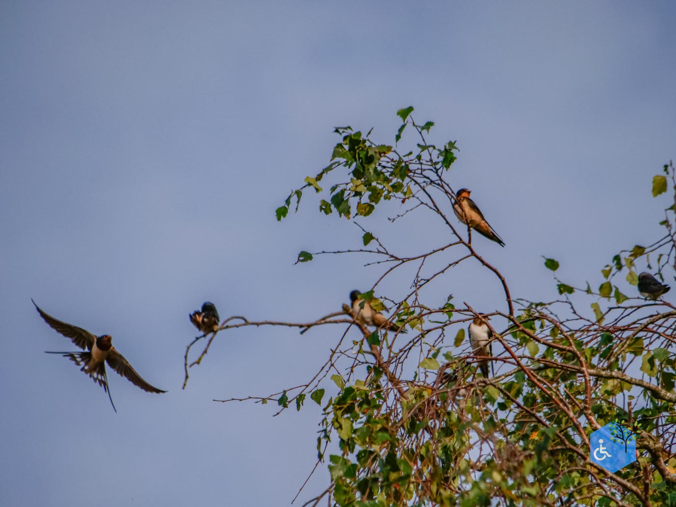 Ede_Rondje_de_Ginkel_30-08-2024-58