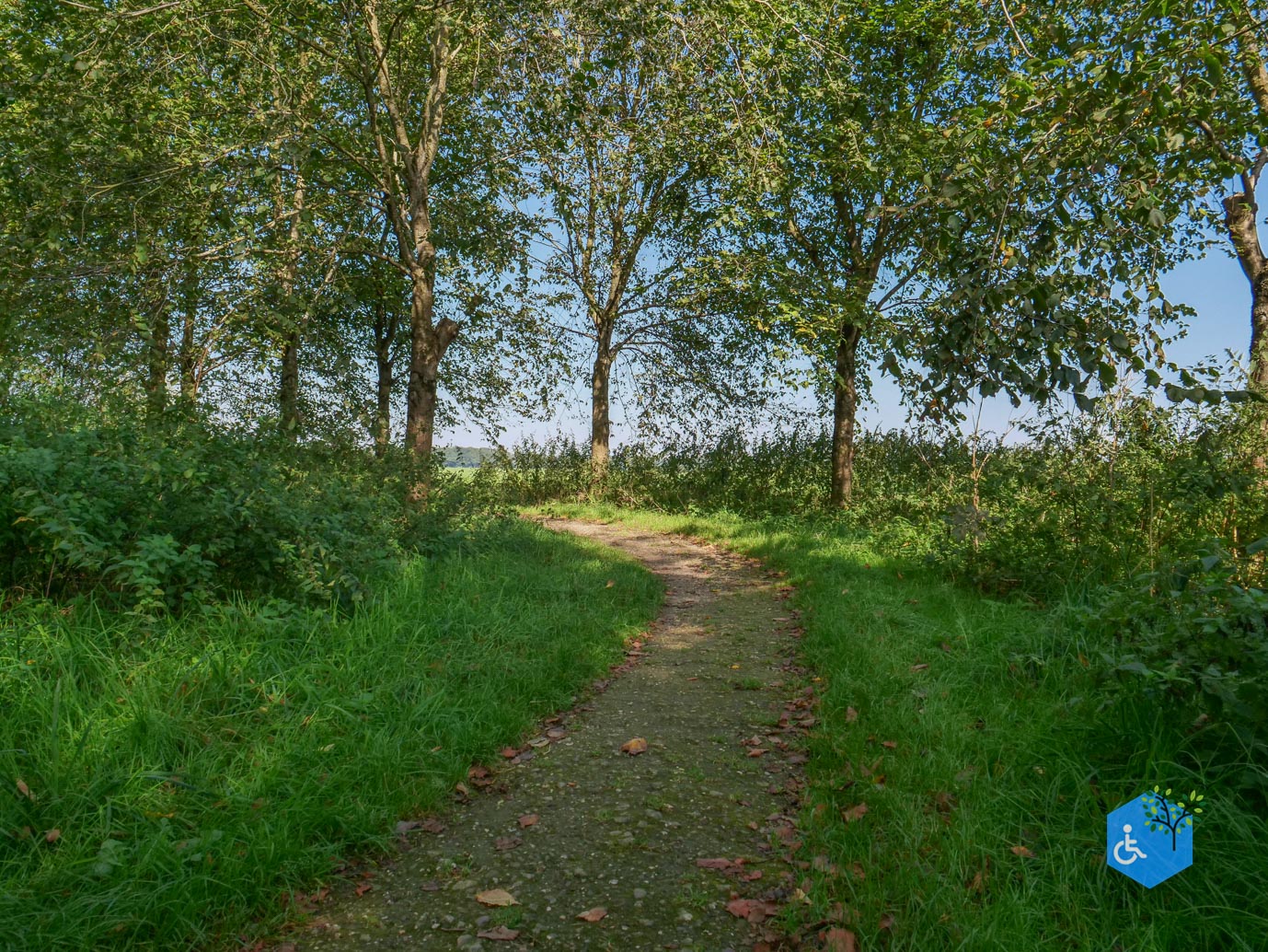 Houten_Avontuurlijk_Nieuw_Wulven_21-09-2024-02