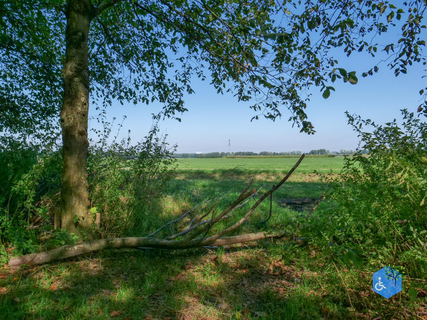 Houten_Avontuurlijk_Nieuw_Wulven_21-09-2024-03