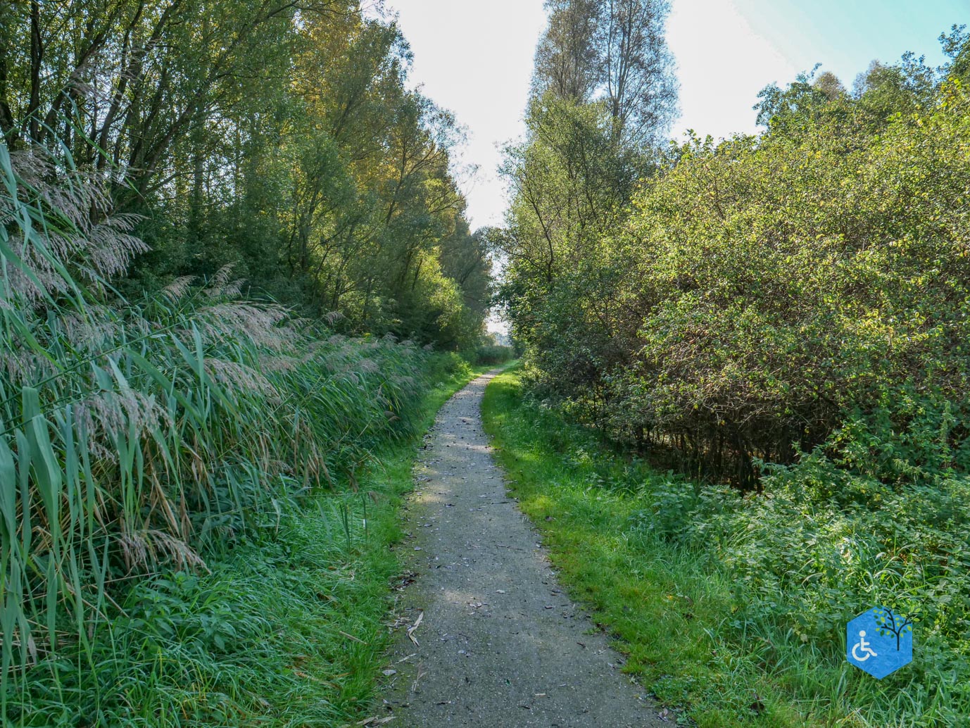 Houten_Avontuurlijk_Nieuw_Wulven_21-09-2024-07