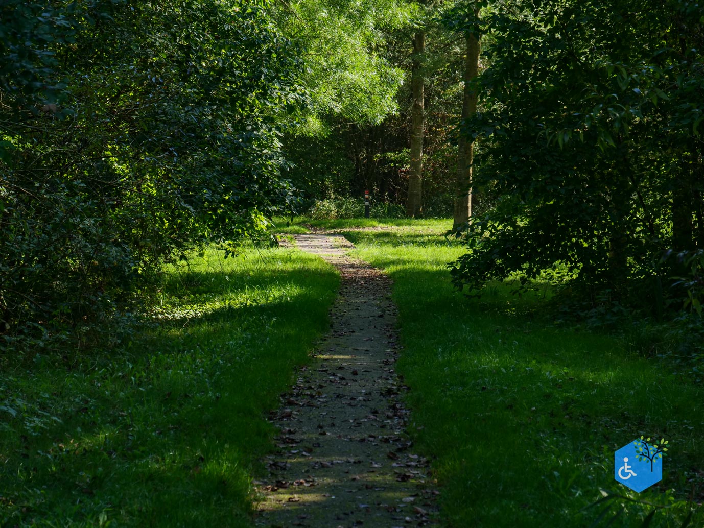 Houten_Avontuurlijk_Nieuw_Wulven_21-09-2024-09