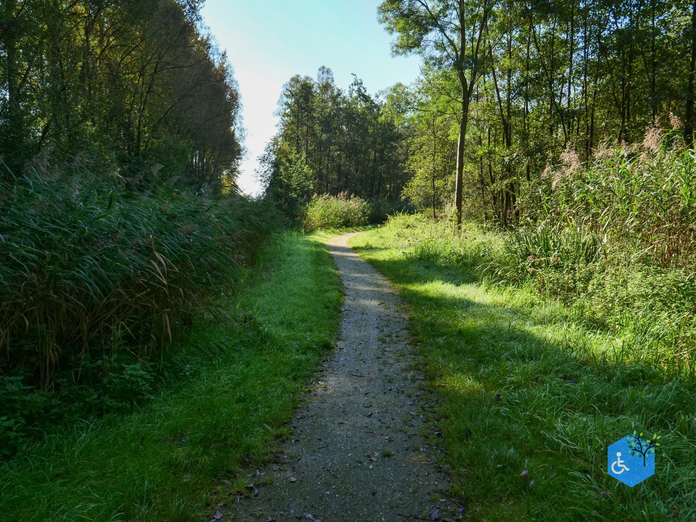 Houten_Avontuurlijk_Nieuw_Wulven_21-09-2024-10