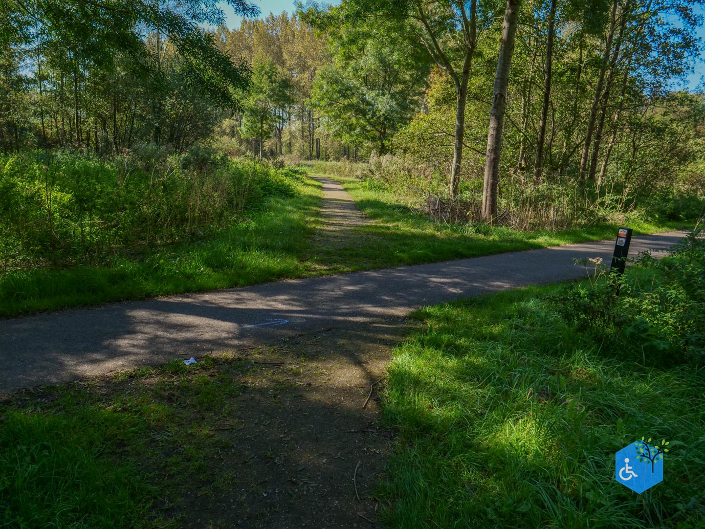 Houten_Avontuurlijk_Nieuw_Wulven_21-09-2024-12