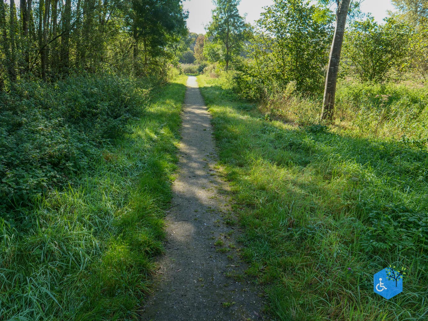 Houten_Avontuurlijk_Nieuw_Wulven_21-09-2024-13