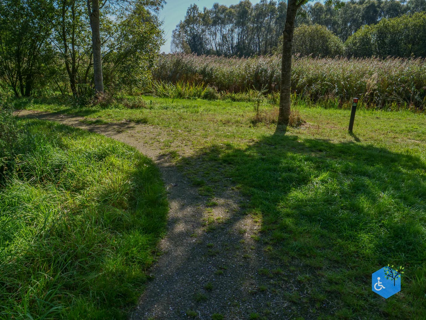 Houten_Avontuurlijk_Nieuw_Wulven_21-09-2024-14