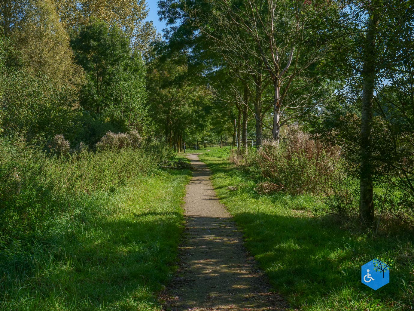 Houten_Avontuurlijk_Nieuw_Wulven_21-09-2024-15