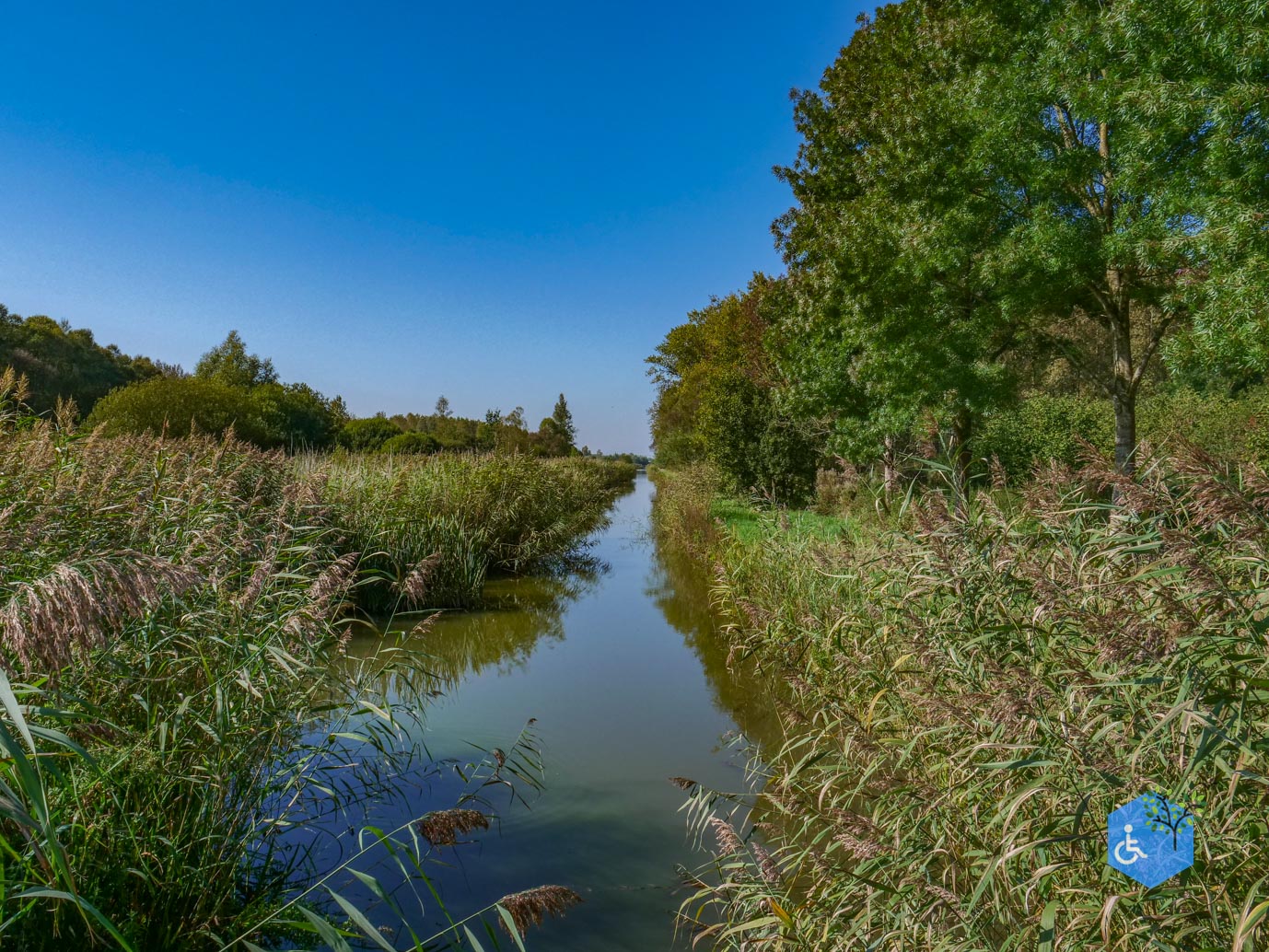 Houten_Avontuurlijk_Nieuw_Wulven_21-09-2024-19