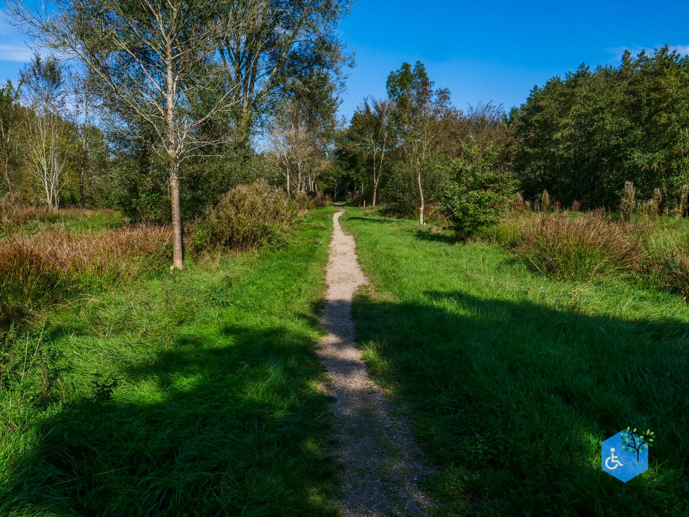 Houten_Avontuurlijk_Nieuw_Wulven_21-09-2024-24