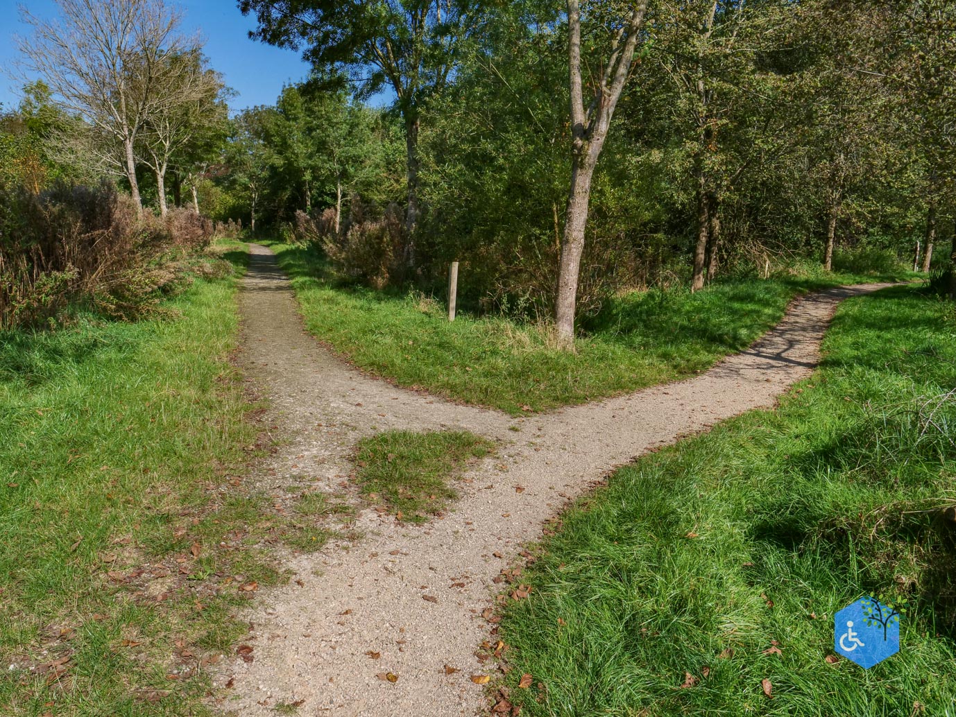 Houten_Avontuurlijk_Nieuw_Wulven_21-09-2024-25