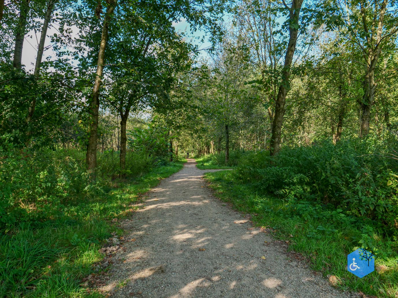 Houten_Rondje_Nieuw_Wulven_21-09-2024-09