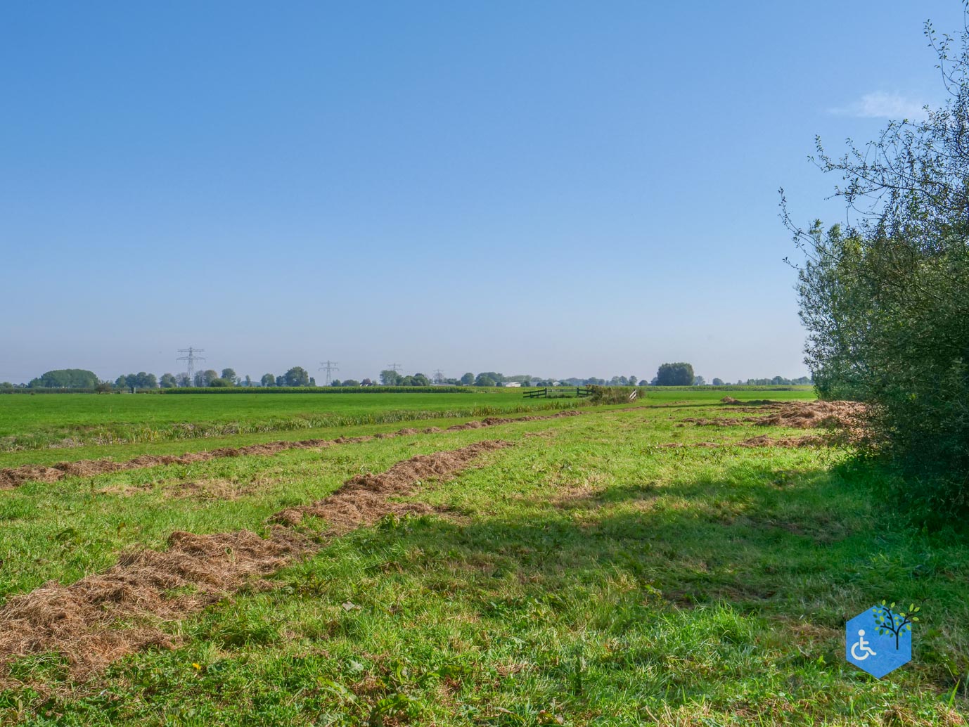 Houten_Rondje_Nieuw_Wulven_21-09-2024-12