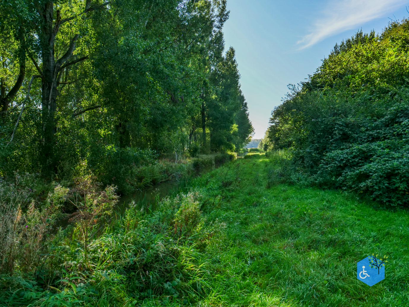 Houten_Rondje_Nieuw_Wulven_21-09-2024-15
