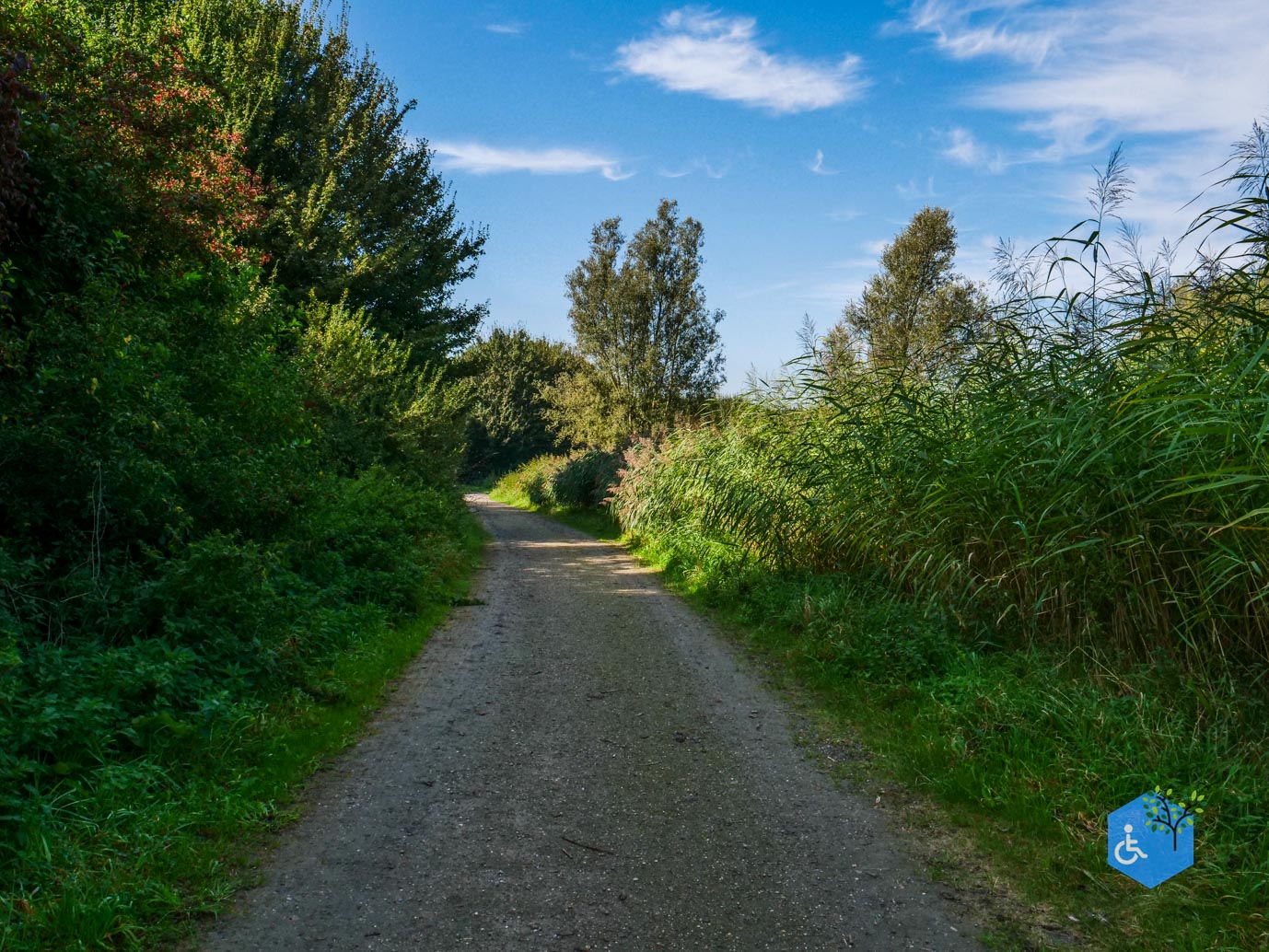 Houten_Rondje_Nieuw_Wulven_21-09-2024-19
