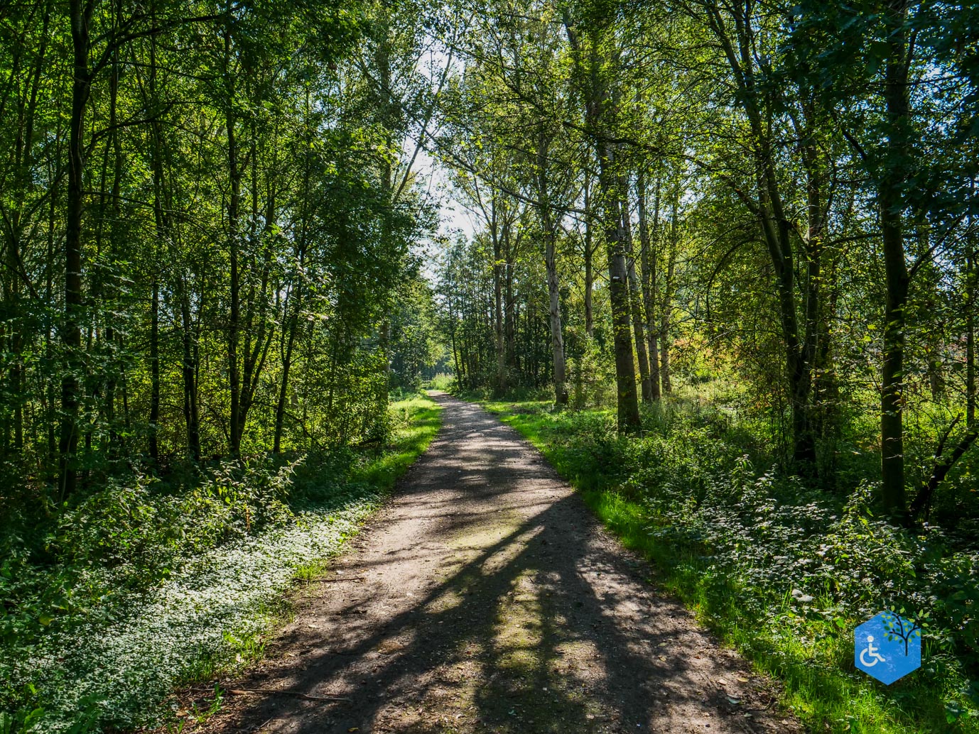 Houten_Rondje_Nieuw_Wulven_21-09-2024-23