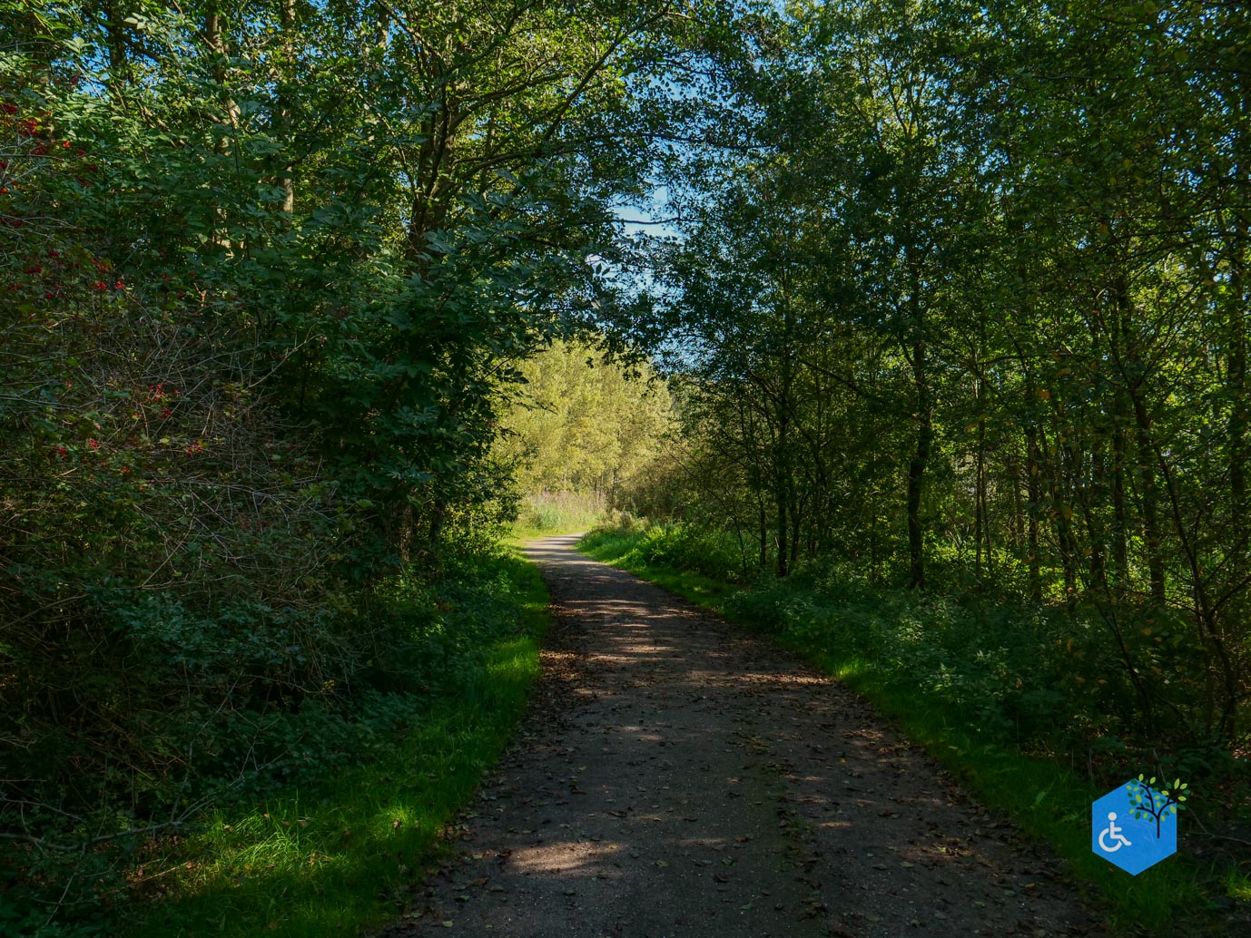 Houten_Rondje_Nieuw_Wulven_21-09-2024-26