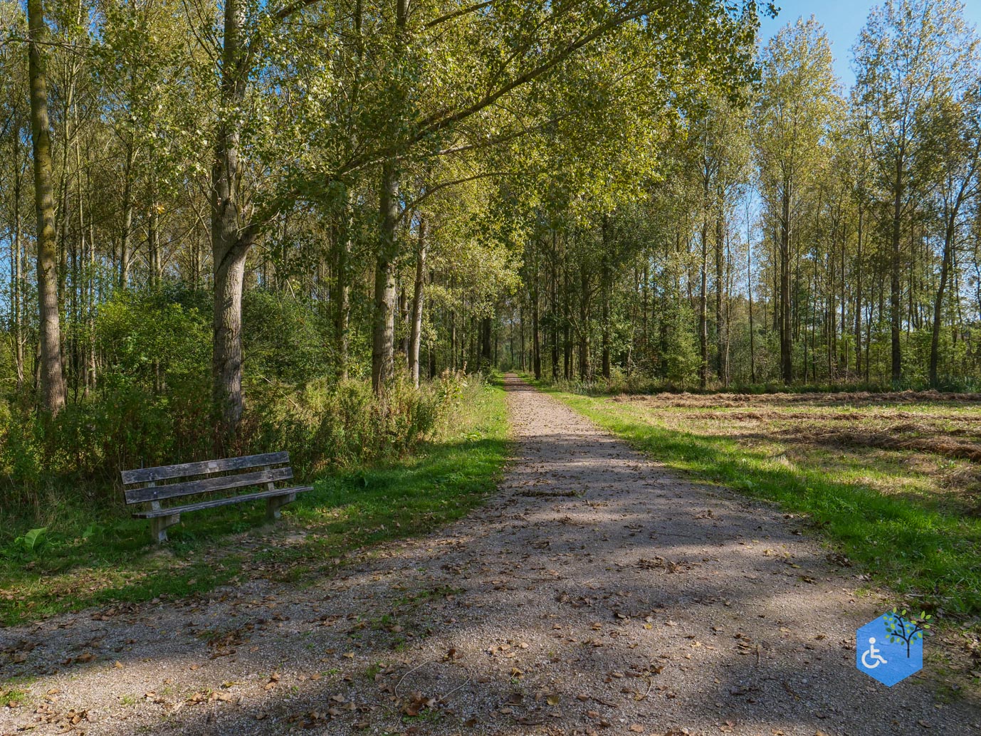 Houten_Rondje_Nieuw_Wulven_21-09-2024-28