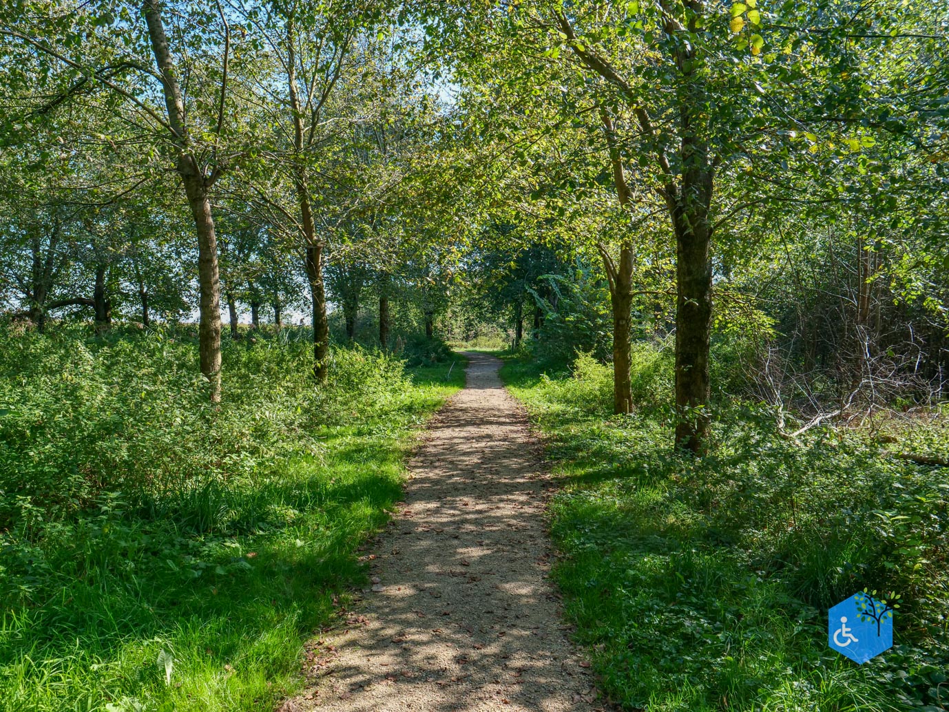 Houten_Rondje_Nieuw_Wulven_21-09-2024-38