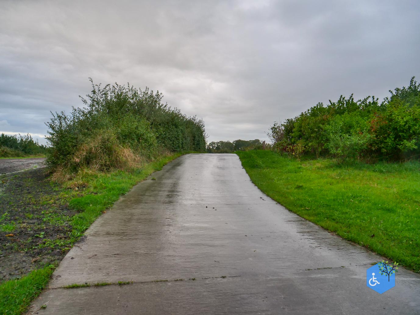 Burgum_Wetter_en_Willepark_Lang-10