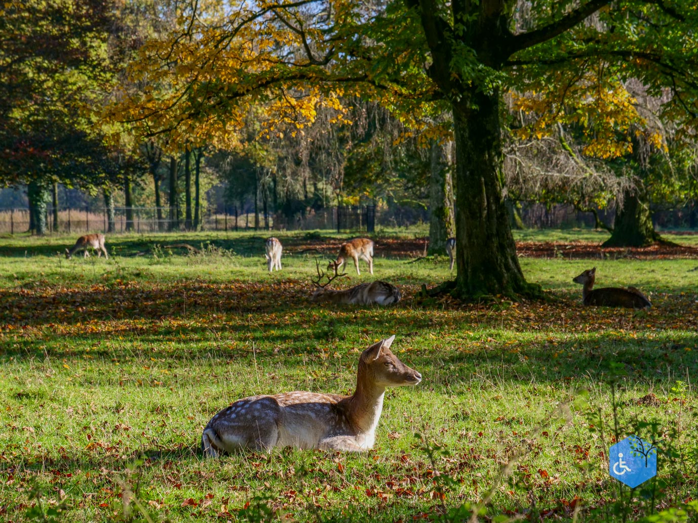 Doetinchem_Wandelroute_Passmann_03-11-2024-03