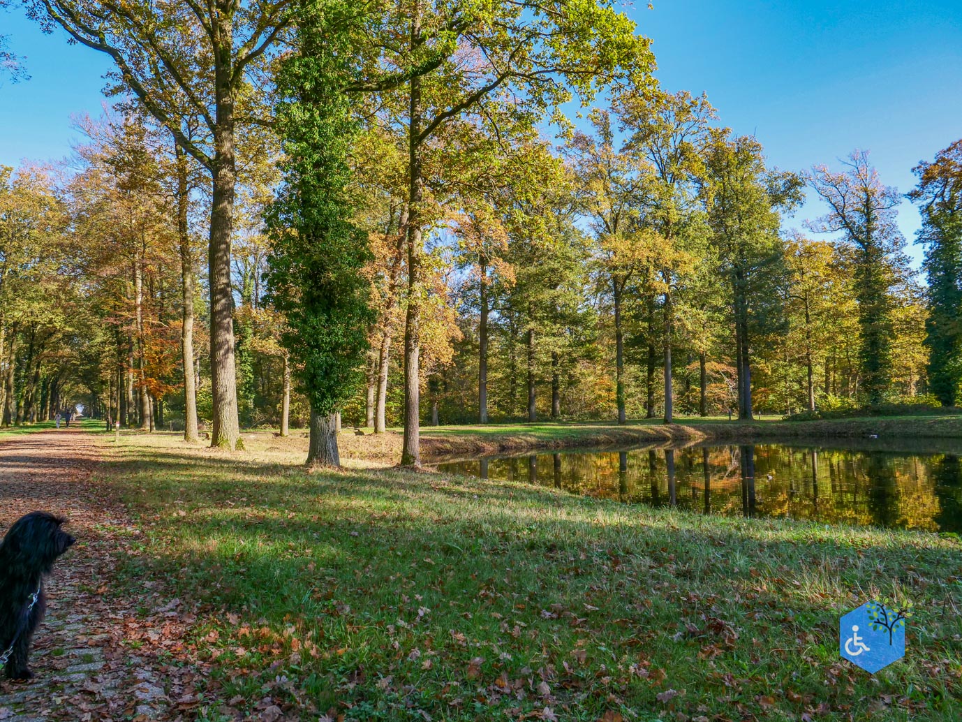 Doetinchem_Wandelroute_Passmann_03-11-2024-10