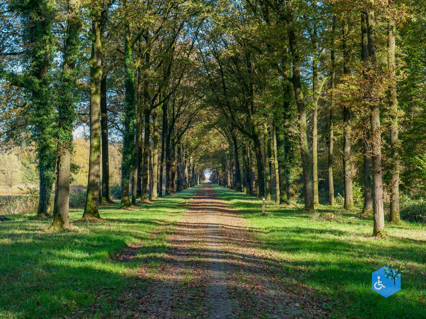Doetinchem_Wandelroute_Passmann_03-11-2024-11