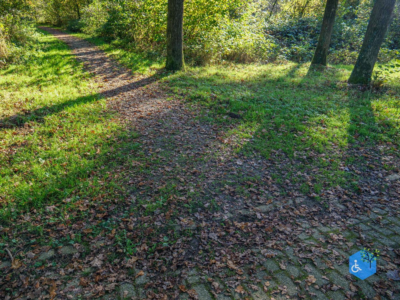 Doetinchem_Wandelroute_Passmann_03-11-2024-13