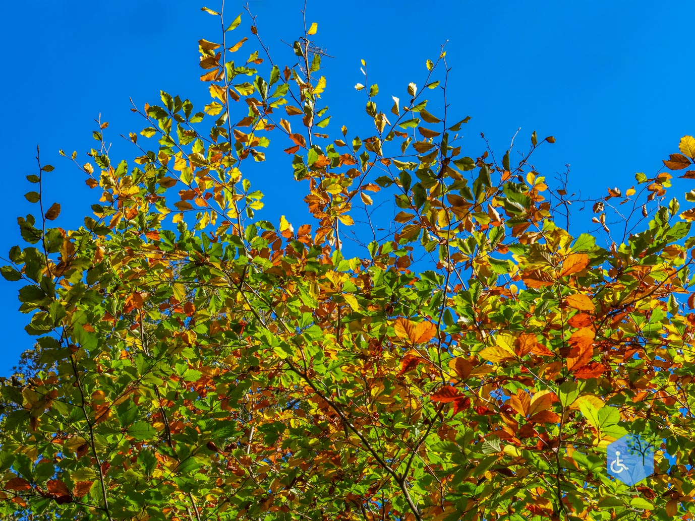 Doetinchem_Wandelroute_Passmann_03-11-2024-15