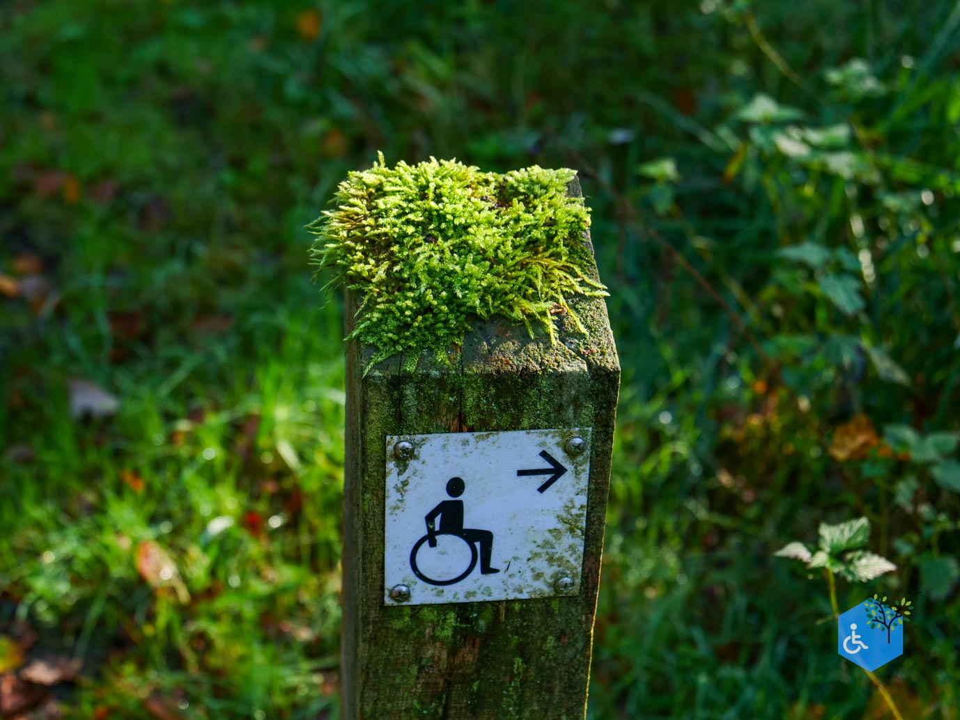 Doetinchem_Wandelroute_Passmann_03-11-2024-16