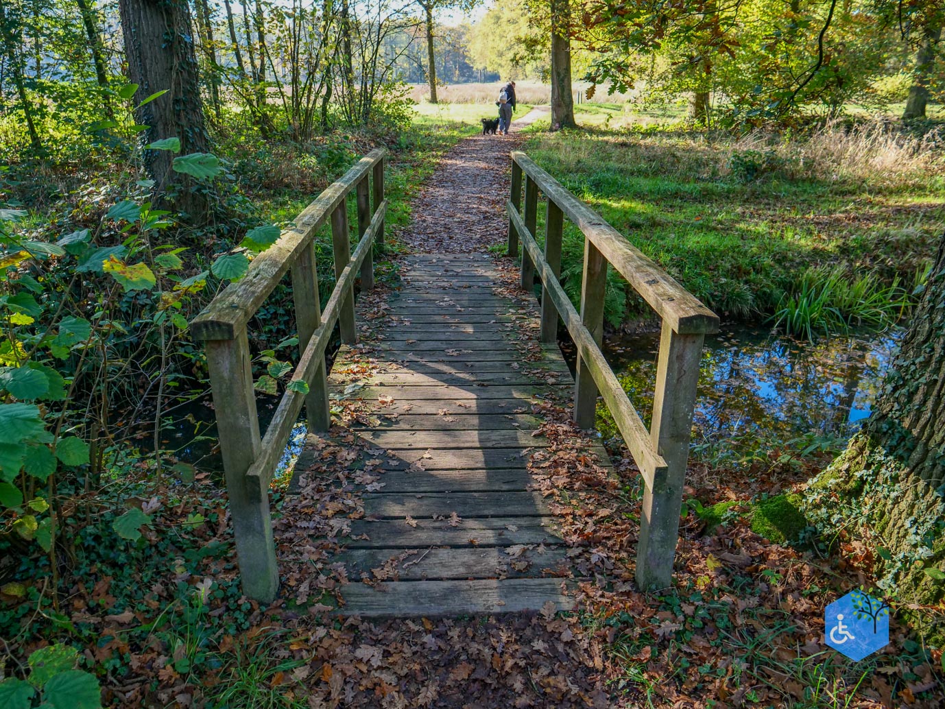 Doetinchem_Wandelroute_Passmann_03-11-2024-19