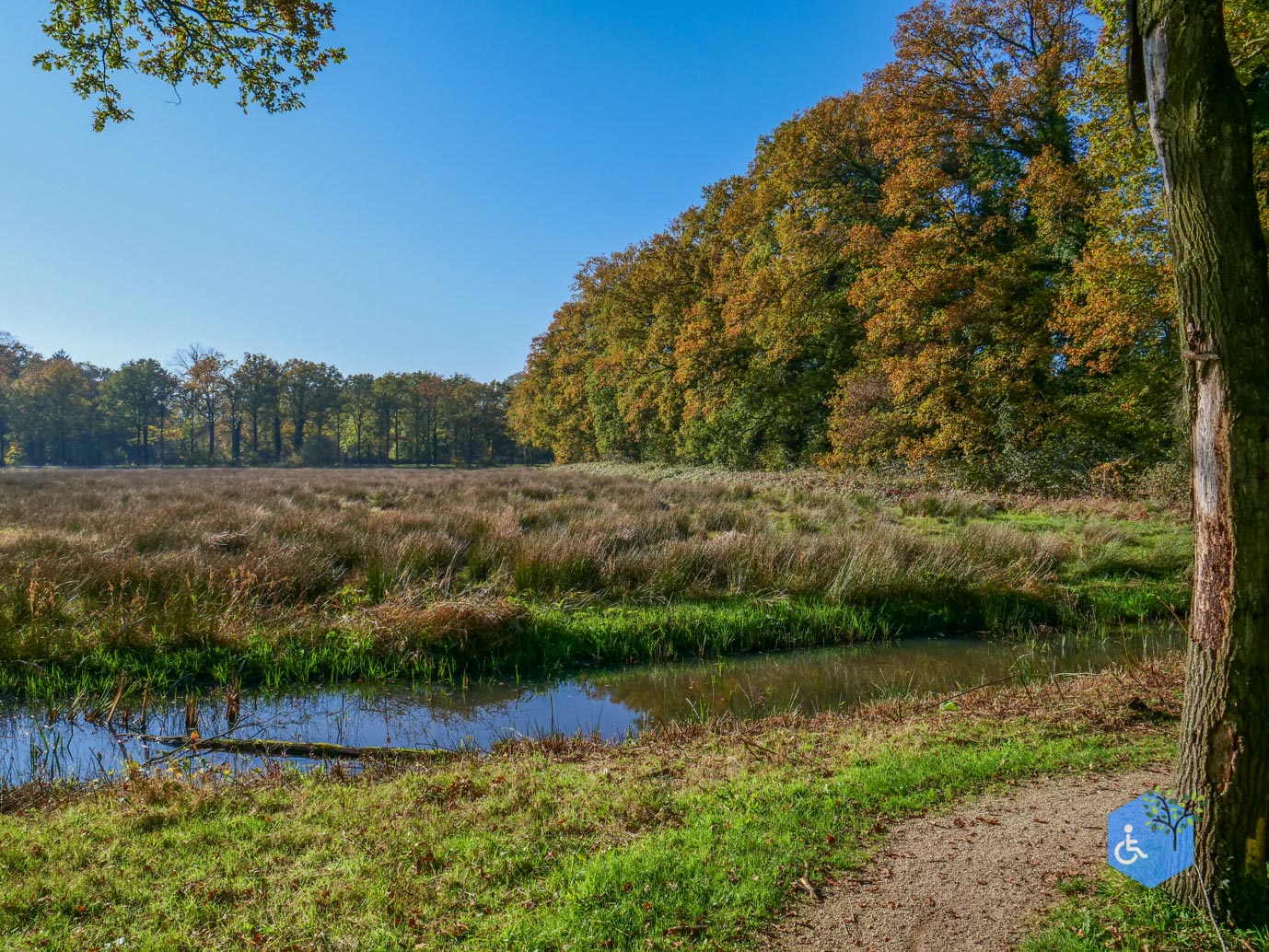 Doetinchem_Wandelroute_Passmann_03-11-2024-22
