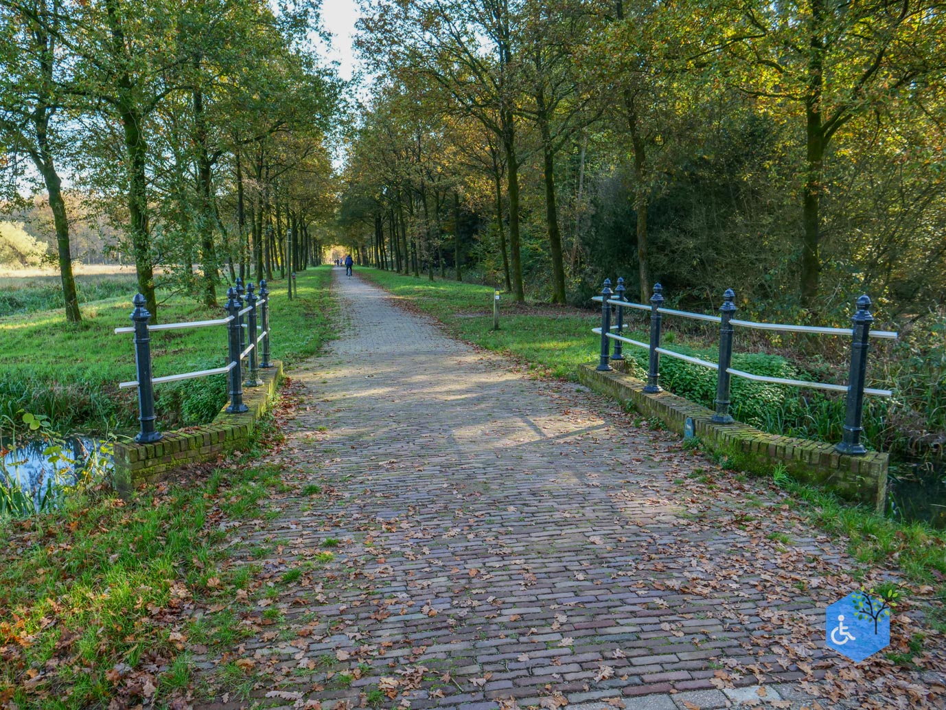 Doetinchem_Wandelroute_Passmann_03-11-2024-26