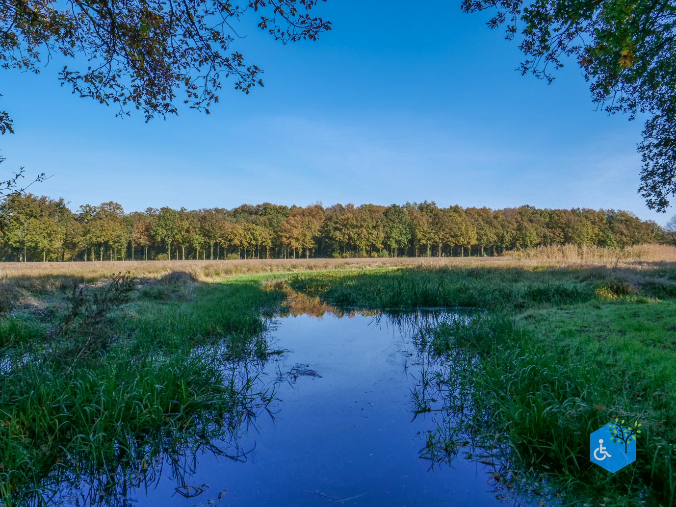 Doetinchem_Wandelroute_Passmann_03-11-2024-27