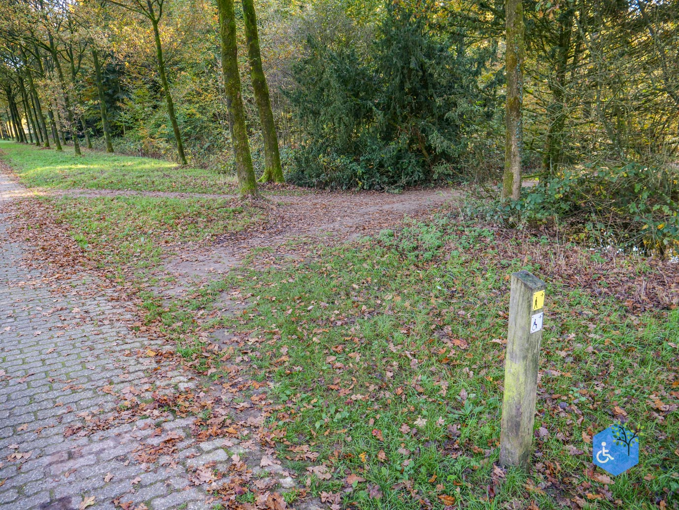 Doetinchem_Wandelroute_Passmann_03-11-2024-29