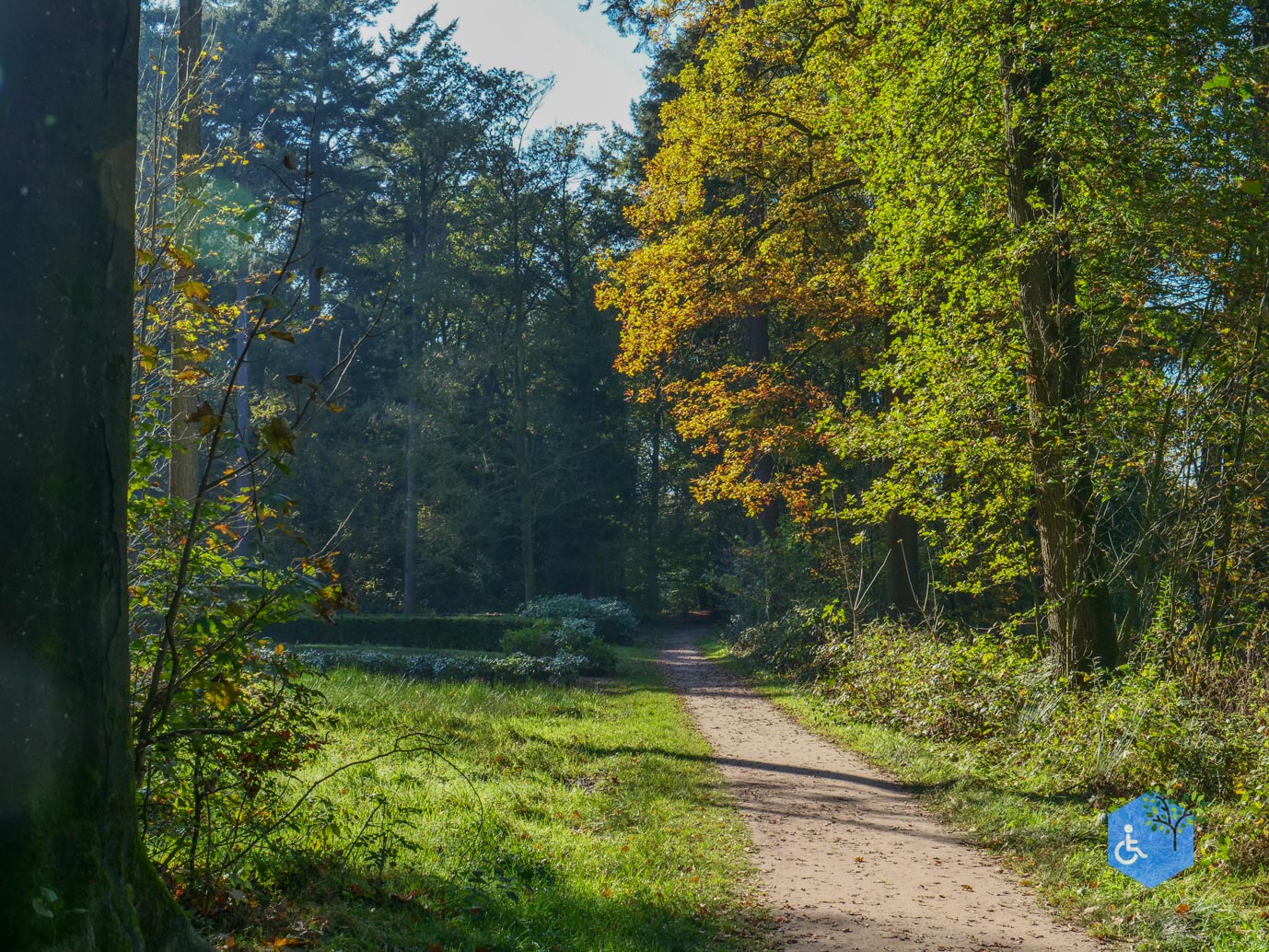 Doetinchem_Wandelroute_Passmann_03-11-2024-30