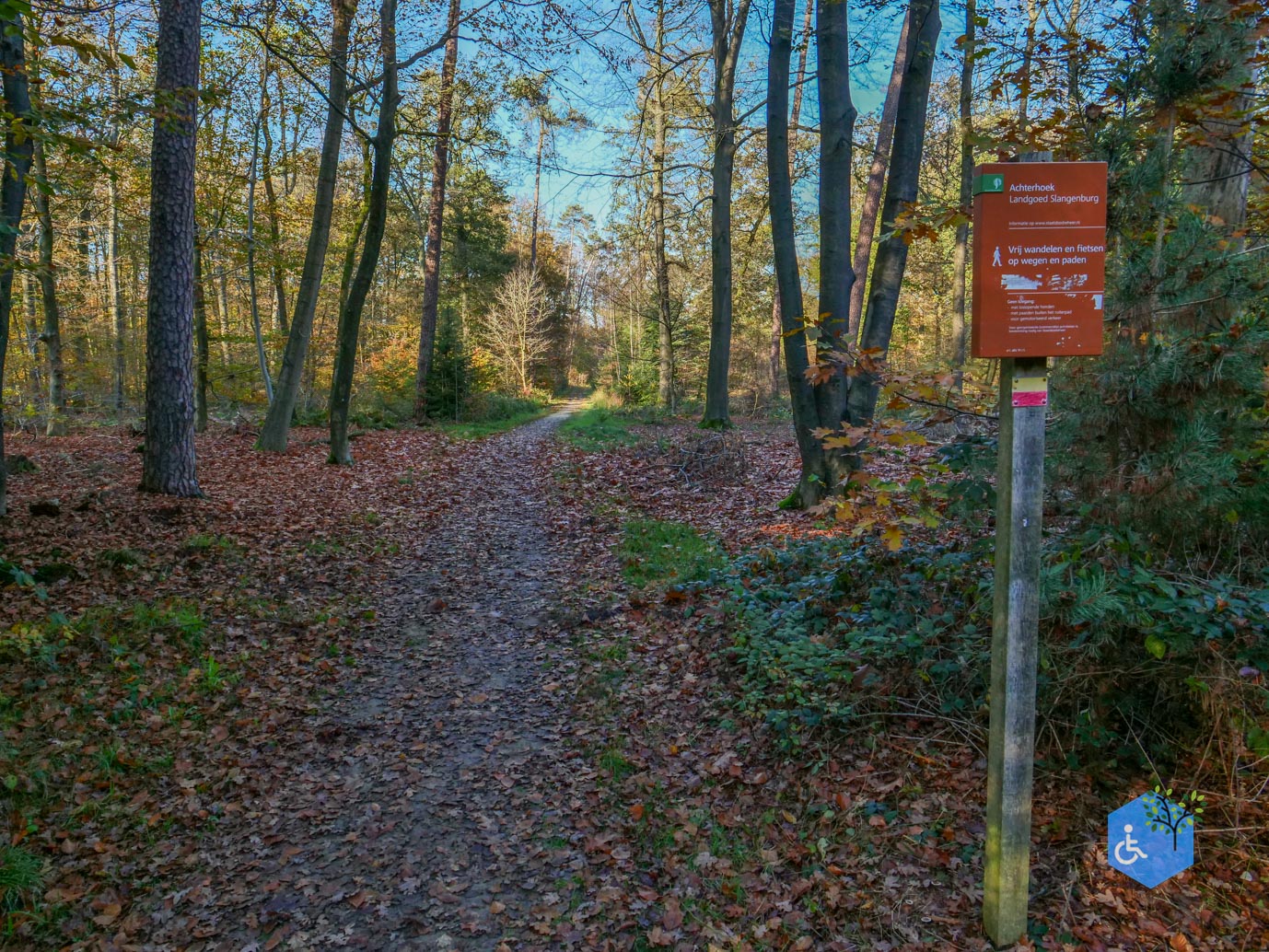Doetinchem_Wandelroute_Passmann_verlend_03-11-2024-35