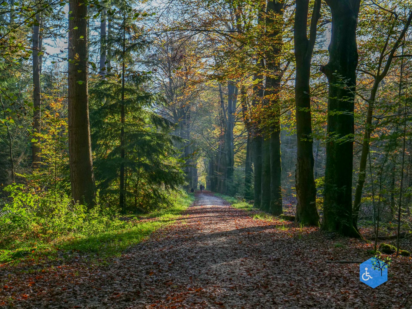 Doetinchem_Wandelroute_Passmann_verlend_03-11-2024-37