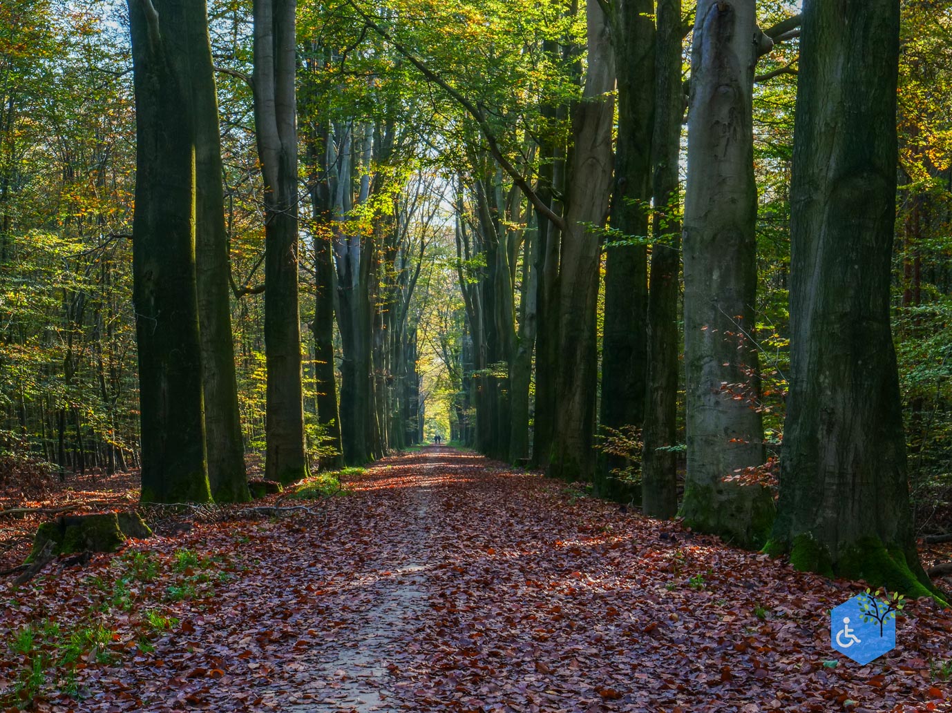 Doetinchem_Wandelroute_Passmann_verlend_03-11-2024-38