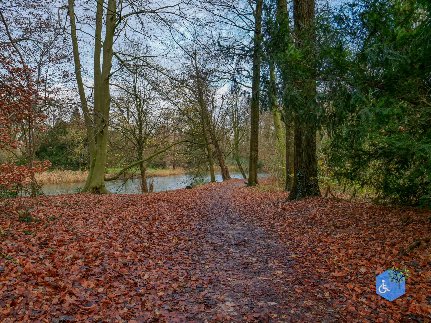 Zwolle_Het_Engelse_Werk_06-12-2024-11