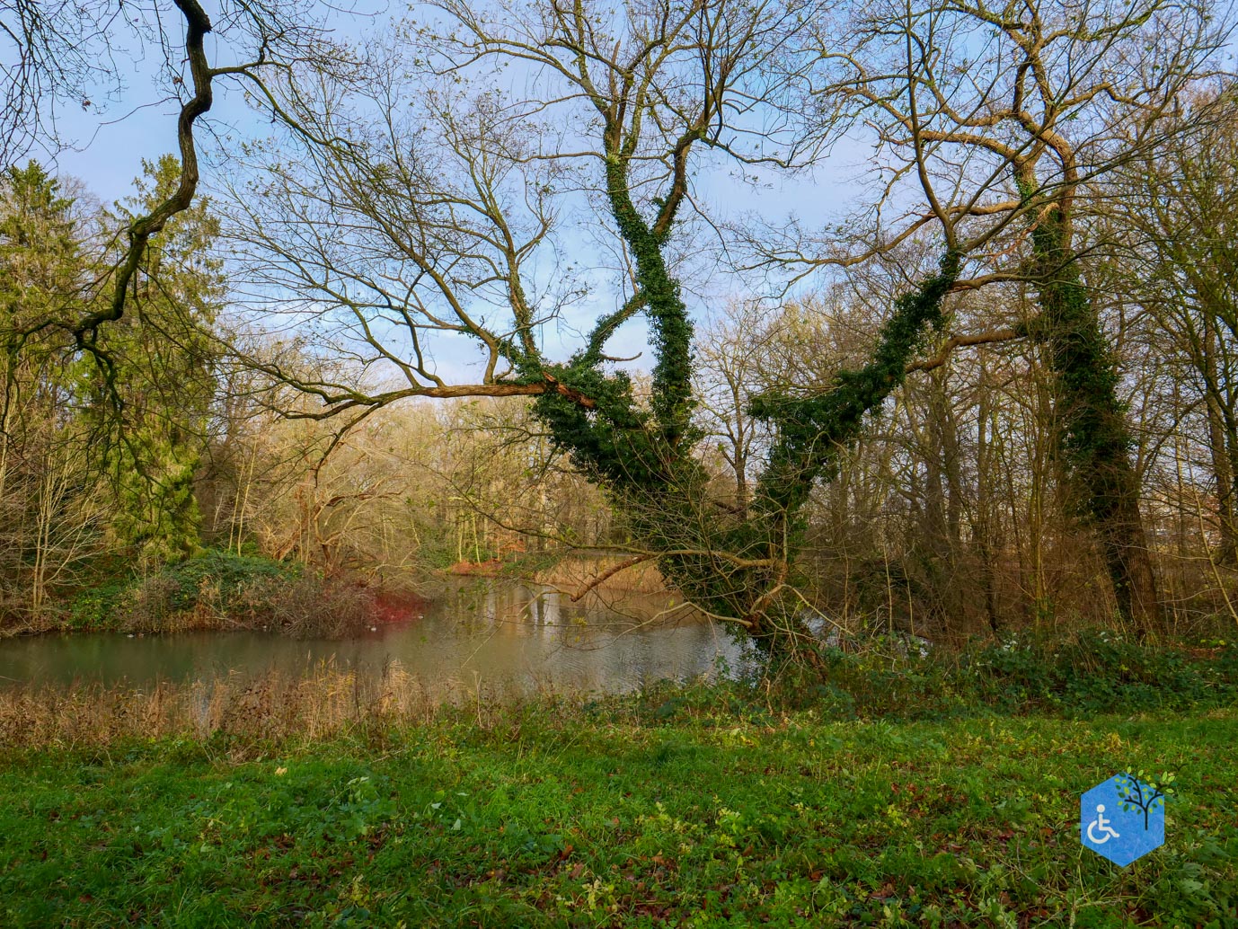 Zwolle_Het_Engelse_Werk_06-12-2024-16