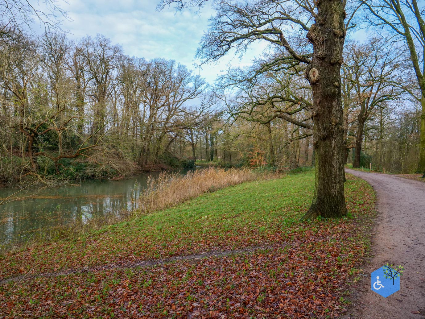 Zwolle_Het_Engelse_Werk_06-12-2024-19