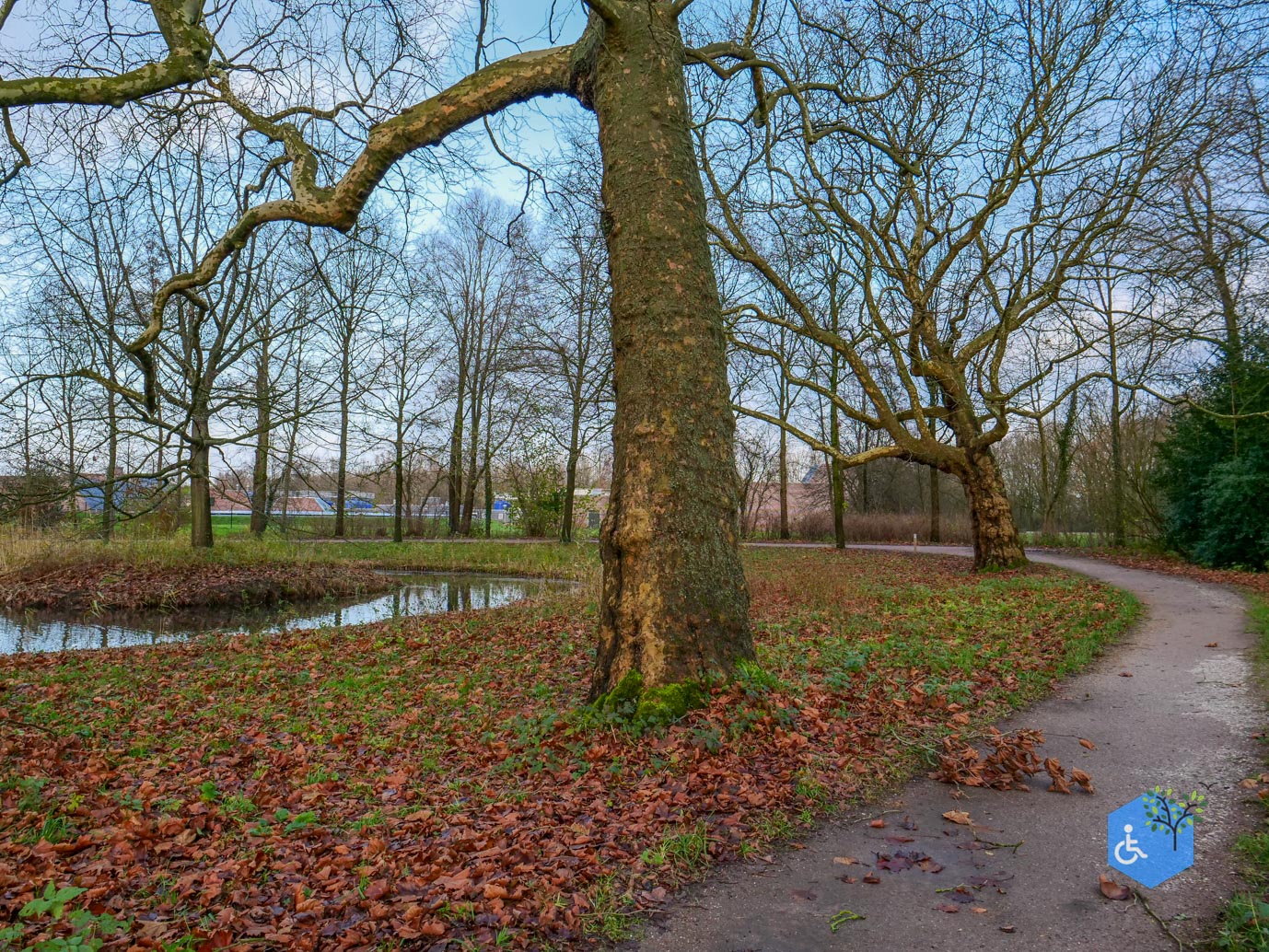 Zwolle_Het_Engelse_Werk_06-12-2024-22