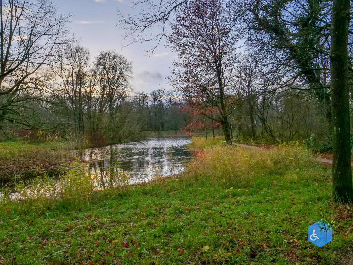 Zwolle_Het_Engelse_Werk_06-12-2024-24