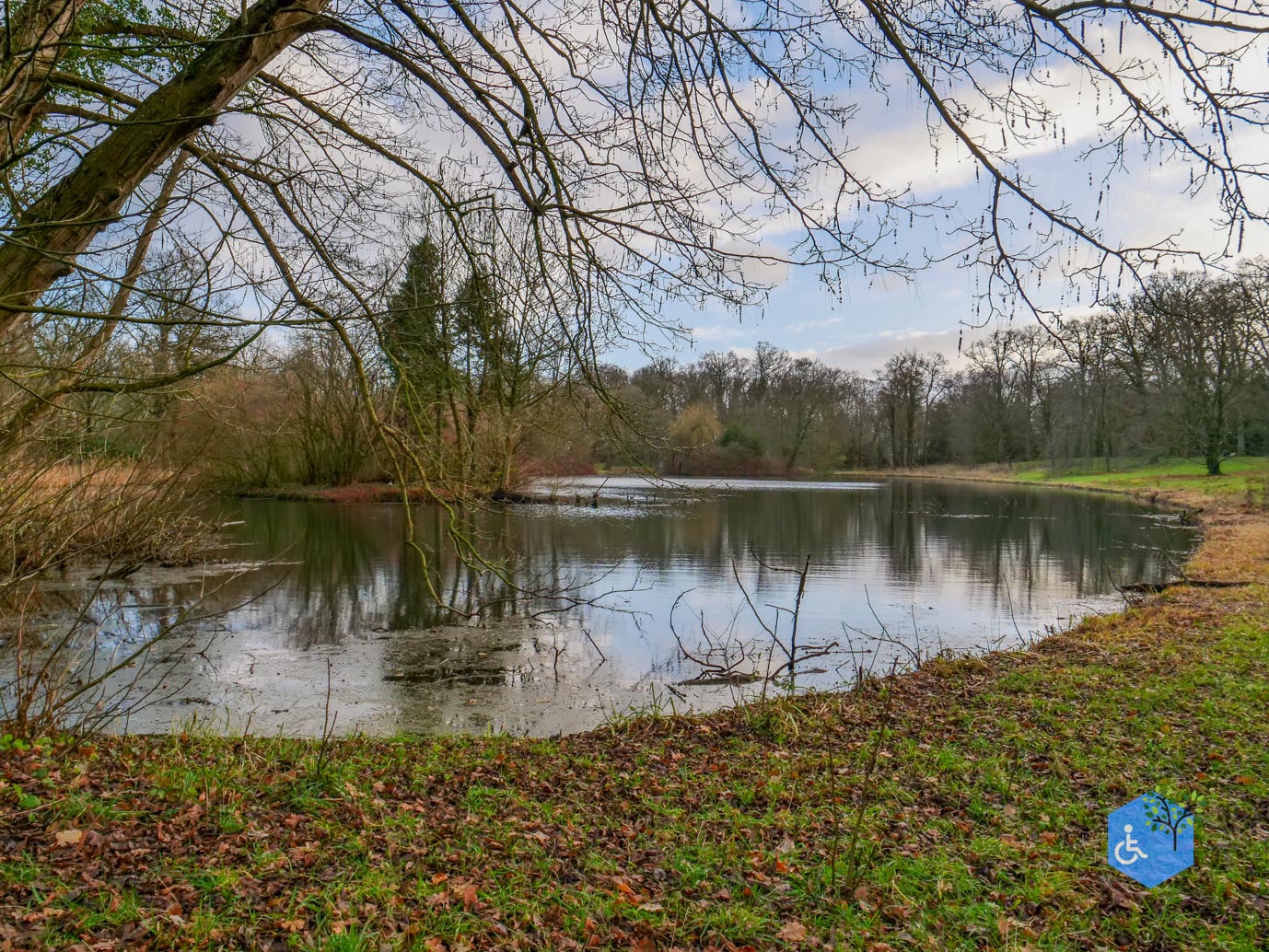 Zwolle_Het_Engelse_Werk_06-12-2024-26