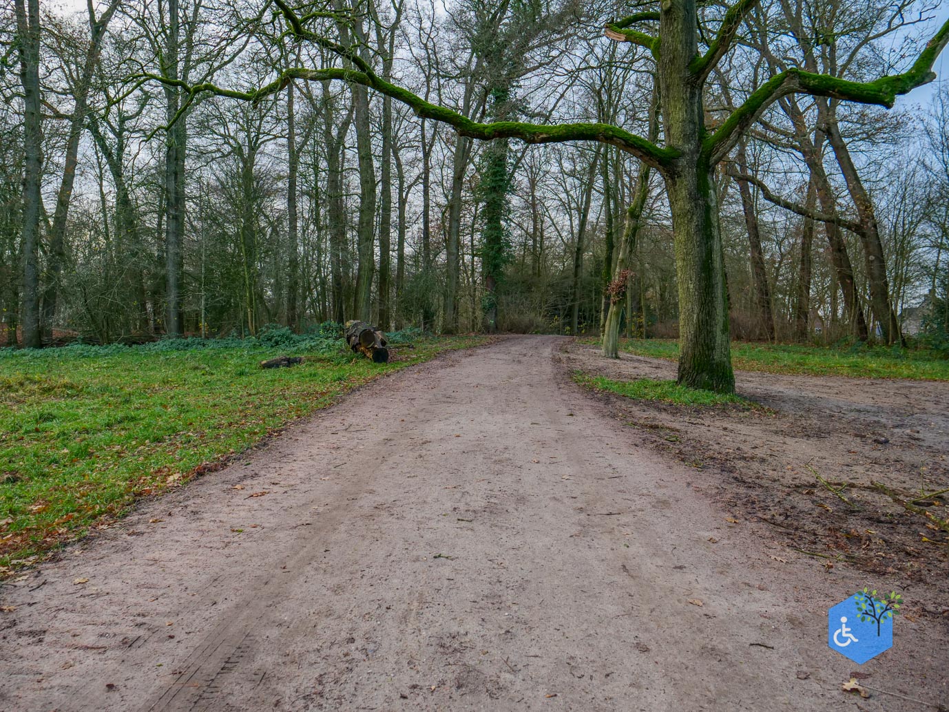 Zwolle_Het_Engelse_Werk_06-12-2024-27