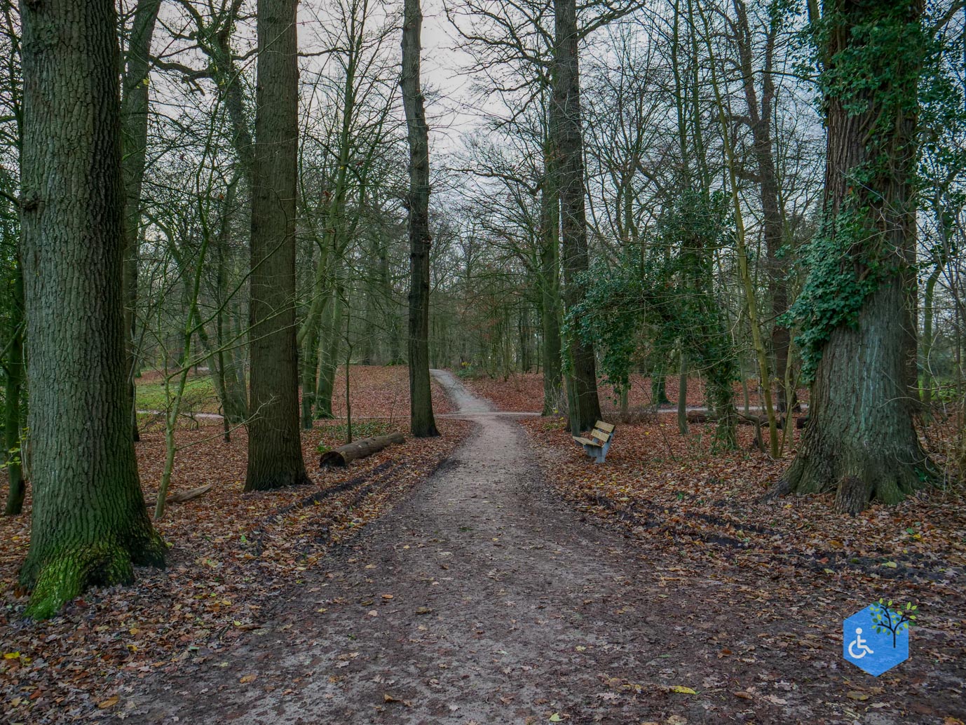 Zwolle_Het_Engelse_Werk_06-12-2024-28